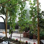 Oda ve Kahvaltı Corte Tre Vigne