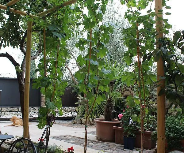 B&B Corte Tre Vigne